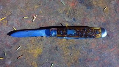 WP_20170726_101.jpg