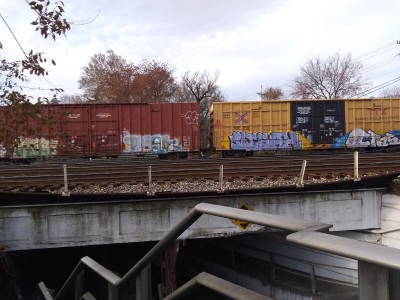 IMG_20211125_090544042.jpg