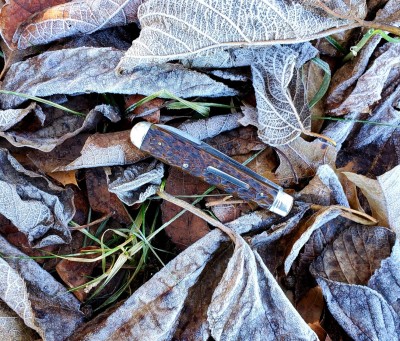 20211126_092419.jpg