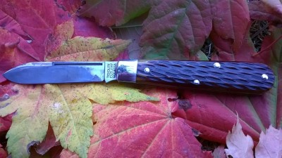 WP_20171014_039.jpg