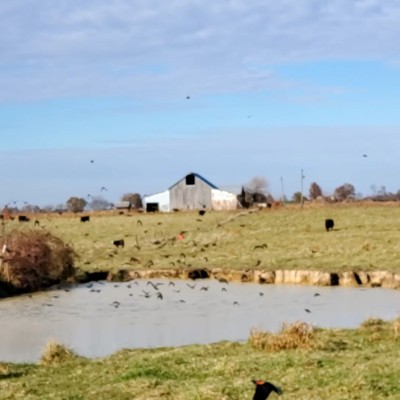 20211127_141423_capture(0).jpg