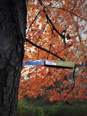 Fall Barlow trail shot.jpg
