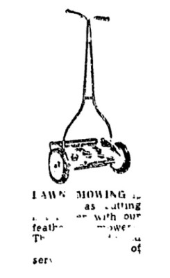 image.jpeg