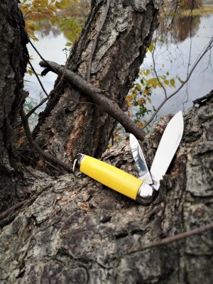 Imperial Prov RI Jack by the creek.jpg