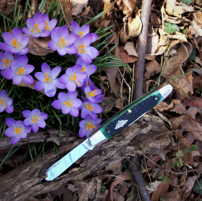Case Cigar Whittler on the trail (2).png