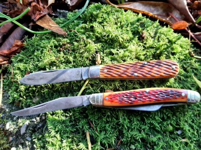 thumbnail_20211109_085448.jpg