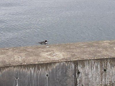 thumbnail_20211201_123429.jpg