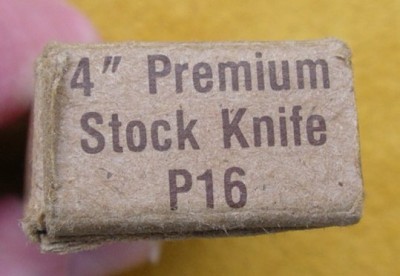 IMGP1950.JPG