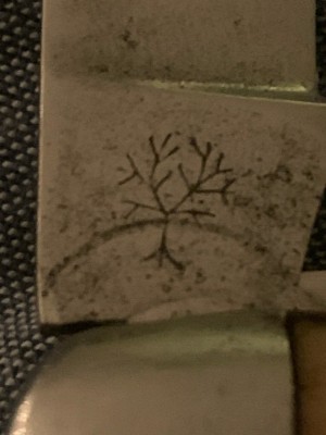 1638578863800.jpg