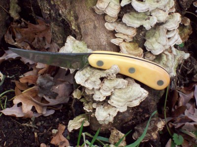 Imperial Yellow Delrin Skinner.jpg