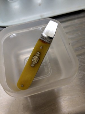 IMAG0691.jpg