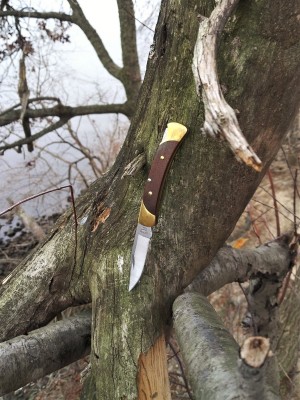 Buck 005 by the creek.jpg