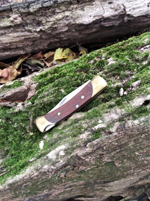 Buck 005 by the creek II.jpg
