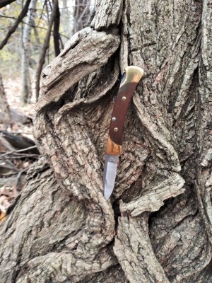 Buck 005 by the creek III.jpg