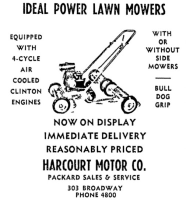 image.jpeg