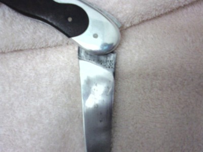 Gerber5.jpg