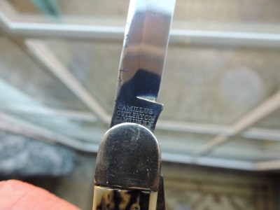 DSCN6909.JPG