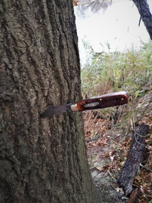 Small Ka-bar Jack by the creek.jpg