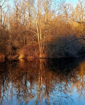 20211208_160534.jpg