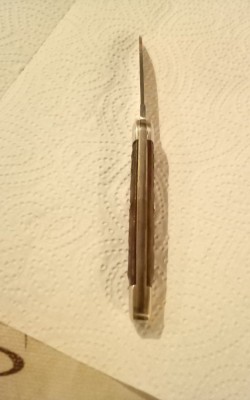 IMG_20211211_063540_165.jpg