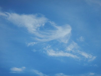 DSCN5377.JPG