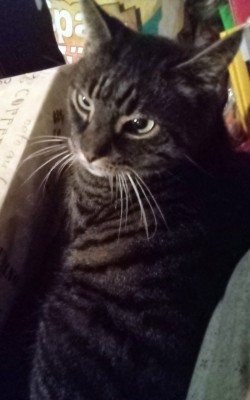 IMG_20211219_064115_281~2.jpg