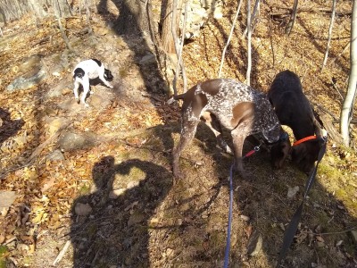 2021-12-23_13-52-30_-_hiking.jpg