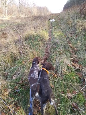 2021-12-23_14-12-59_-_hiking.jpg