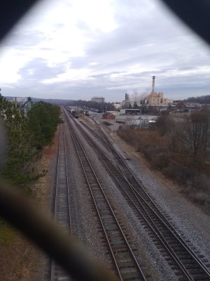 2021-12-29_12-18-35_-_hiking.jpg