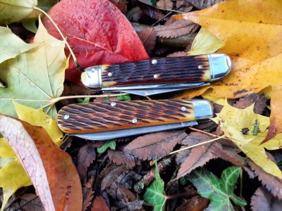thumbnail_20211105_101200.jpg