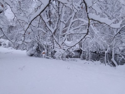 2022-01-03_13-19-10_-_cross_country_skiing.jpg