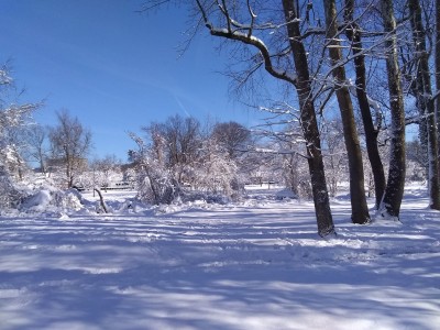 2022-01-04_10-12-34_-_cross_country_skiing.jpg