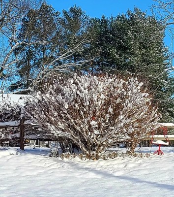 20220107_090433.jpg