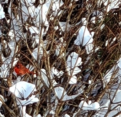 20220107_090439.jpg