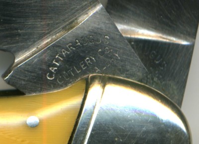 Catt004.jpg