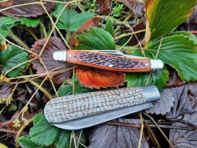 thumbnail_20220112_101510.jpg