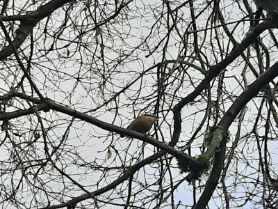 thumbnail_20220113_111521.jpg