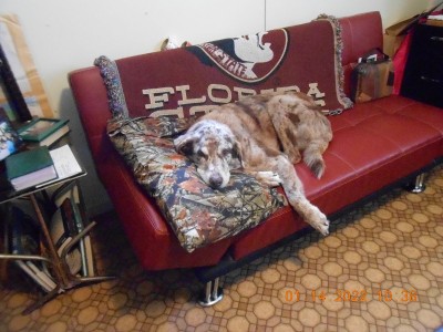 001.JPG (297.99 KiB) Viewed 2323 times "Y'all hurry up, I want to go outside!"