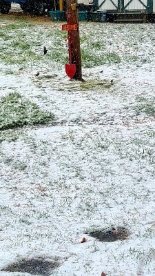 20220116_113855.jpg