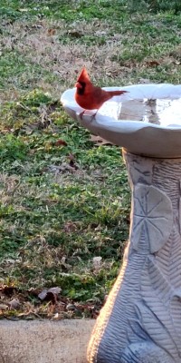 20220113_163031.jpg