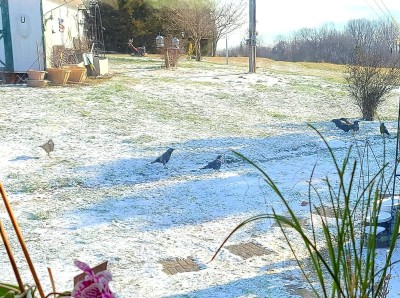 20220121_092715.jpg