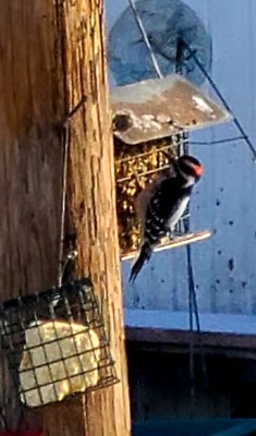 20220121_090648.jpg