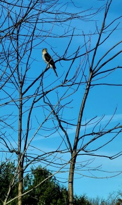 20220122_141527.jpg