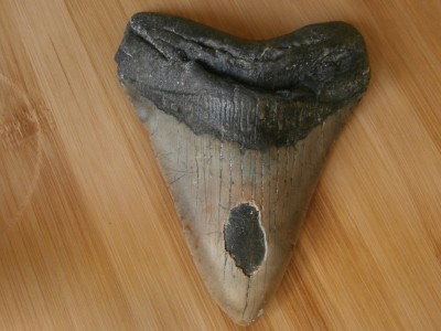 P1230020.JPG