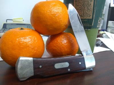 IMG_20220124_075009267.jpg