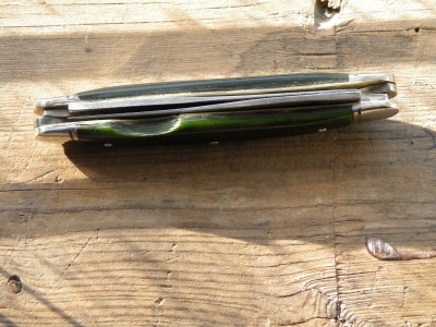 DSCN9231.JPG