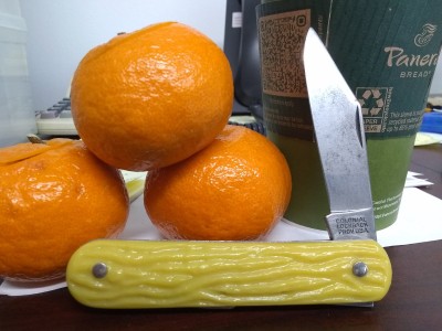 IMG_20220126_075412854.jpg
