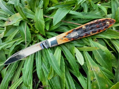 thumbnail_20220126_164819.jpg