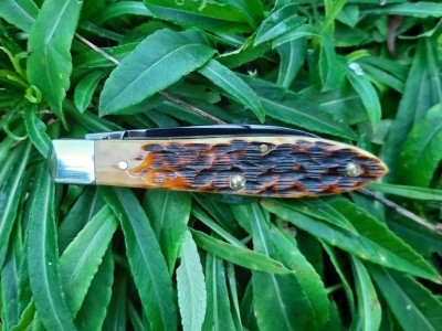 thumbnail_20220126_164846.jpg