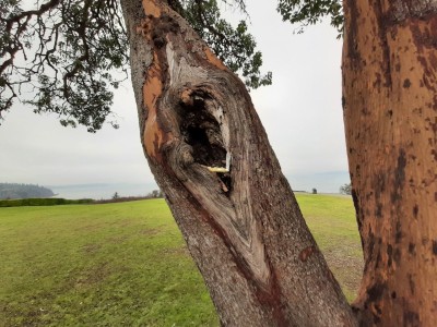 thumbnail_20220126_104113.jpg